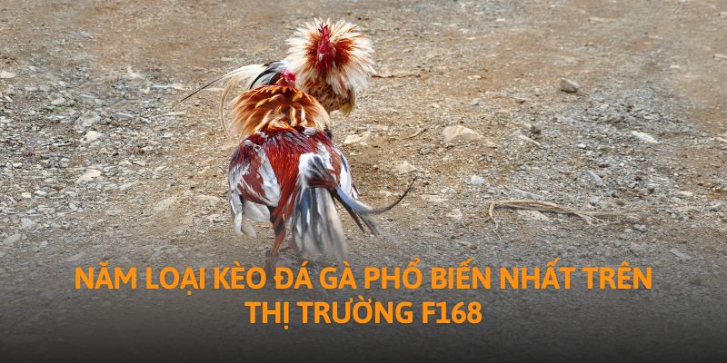 Năm loại kèo đá gà phổ biến nhất trên thị trường F168